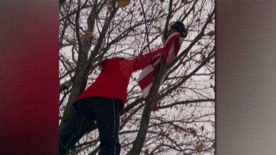 Patriotic 7th grader climbs tree to save American flag
