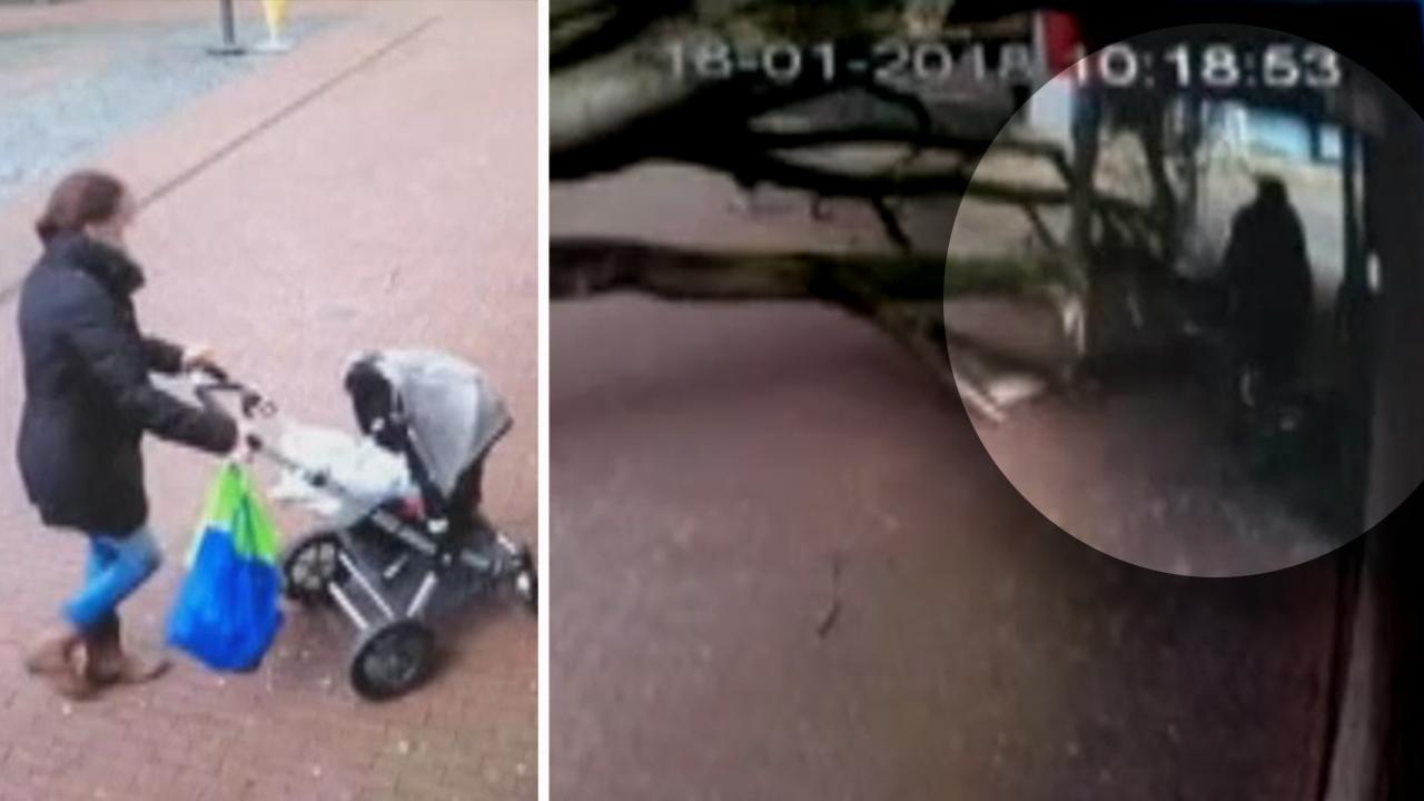 Strong wind topples huge tree nearly landing on mom, baby