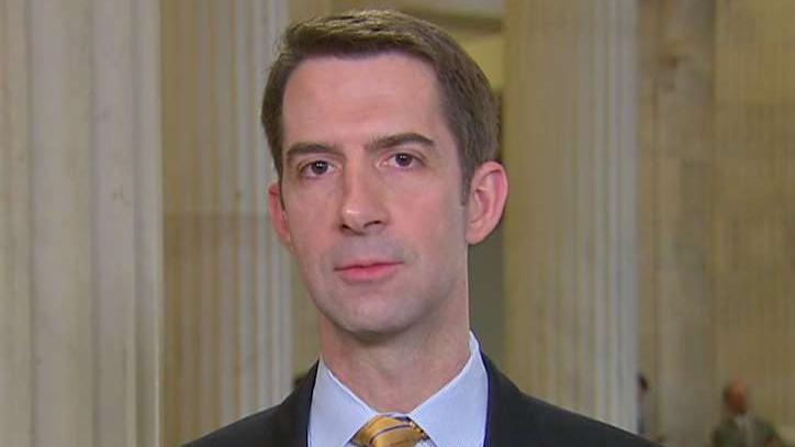 Sen. Cotton on where compromise can be found on immigration