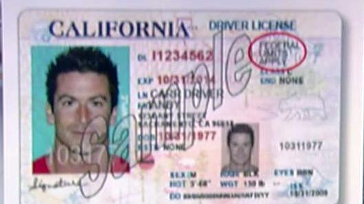 New California policy: Illegal immigrants voting?