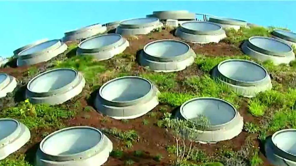 Denver attempting to implement green roof regulations