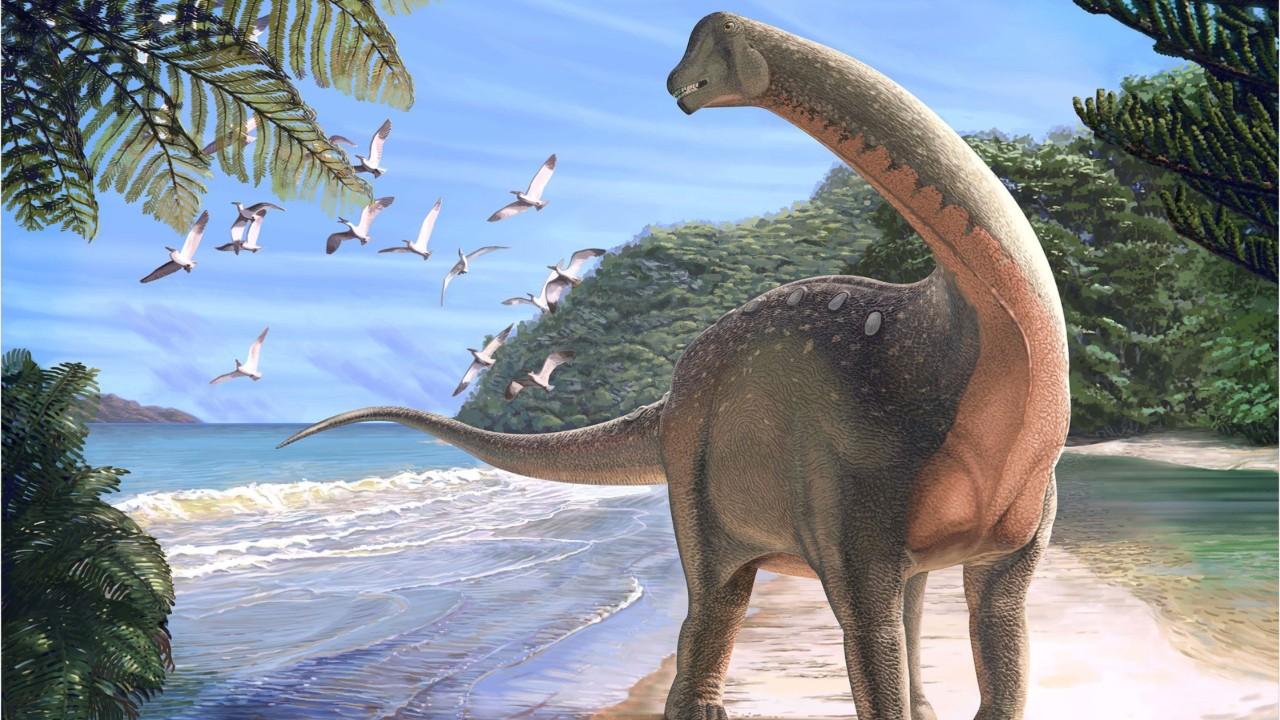 'Holy Grail' of dinosaurs discovered in Sahara desert