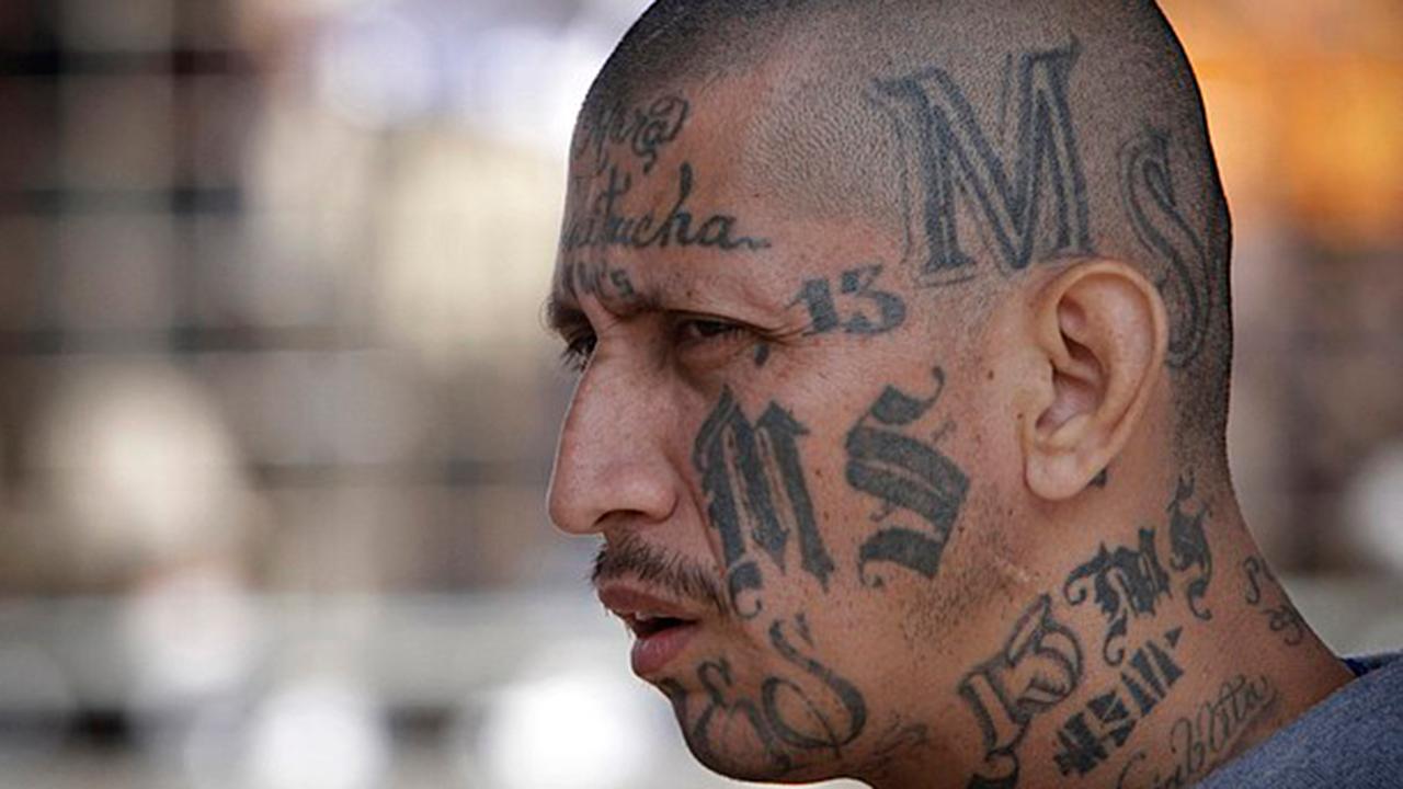President Trump makes MS-13 face of immigration reform