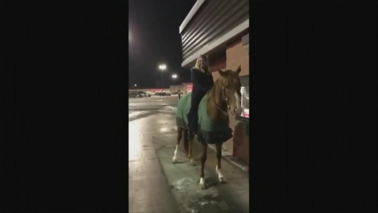 Giddy up: Woman trots horse through Wendy’s drive-thru