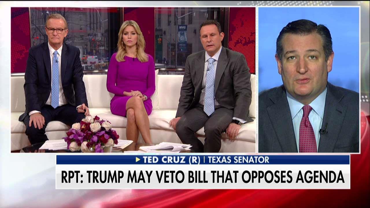 Cruz Blasts Gop Proposal On Dreamers Fox News Video 2610