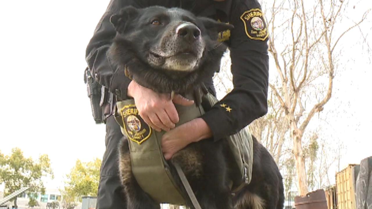 Community rallies to buy ballistic vests for its K9 officers