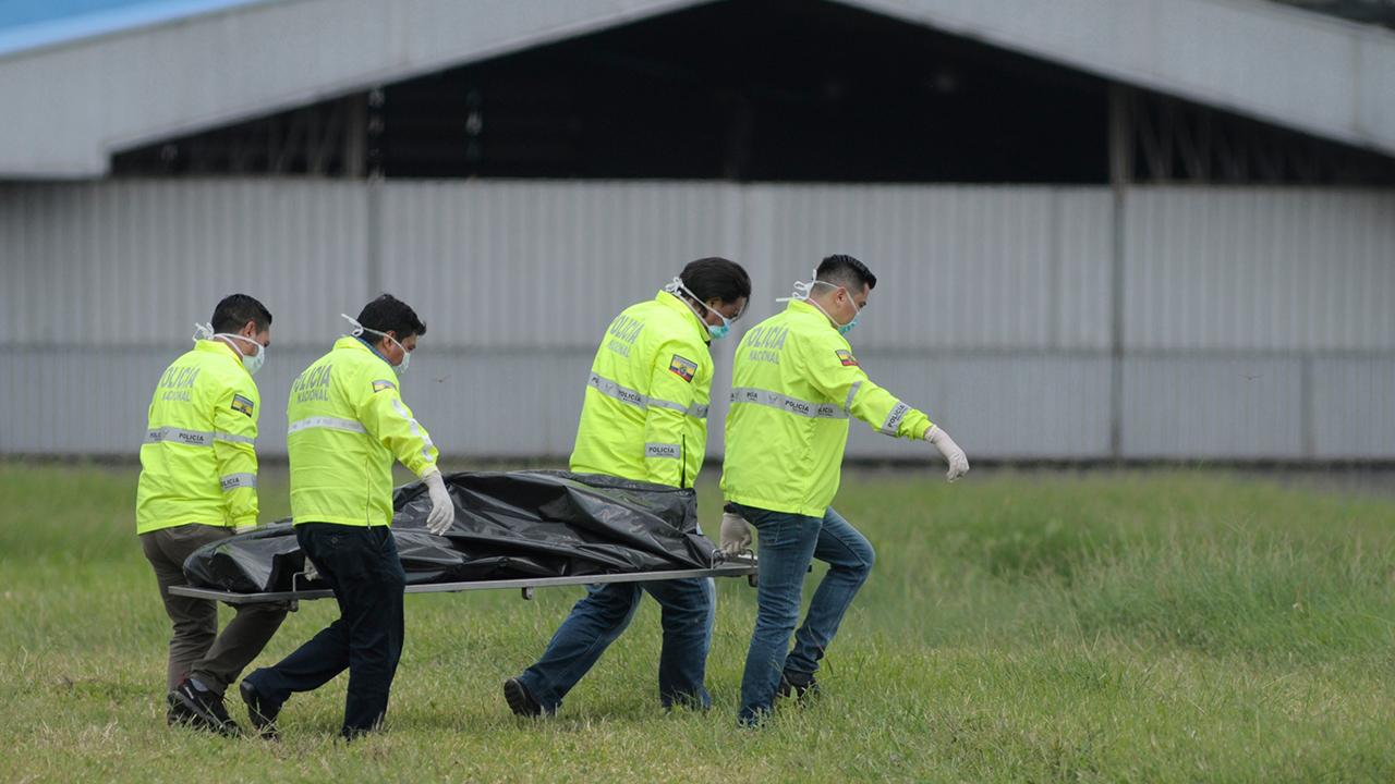 Stowaways hiding in landing gear die after fall from plane