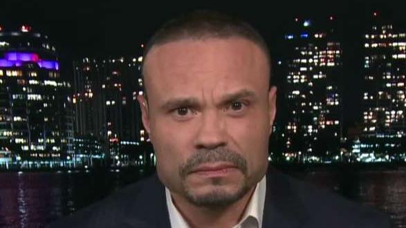 Dan Bongino reacts to Trump's 'take the guns first' comment