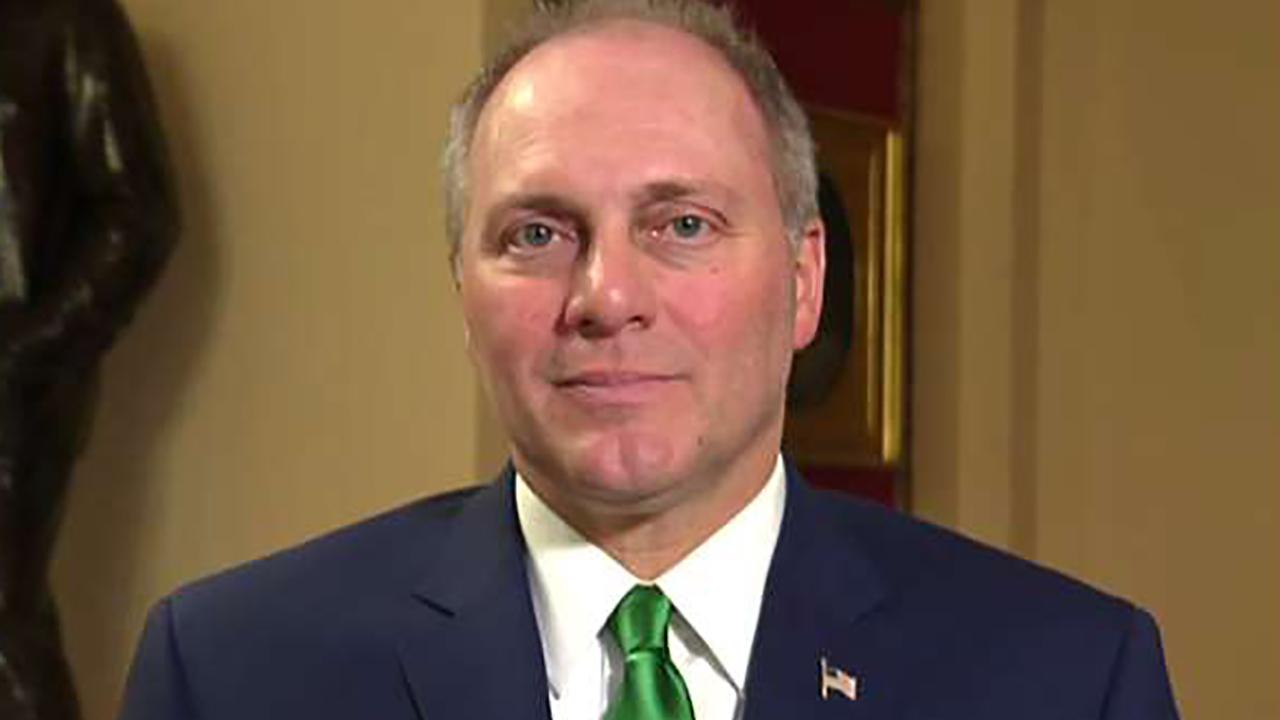 Rep. Steve Scalise on new Russia sanctions