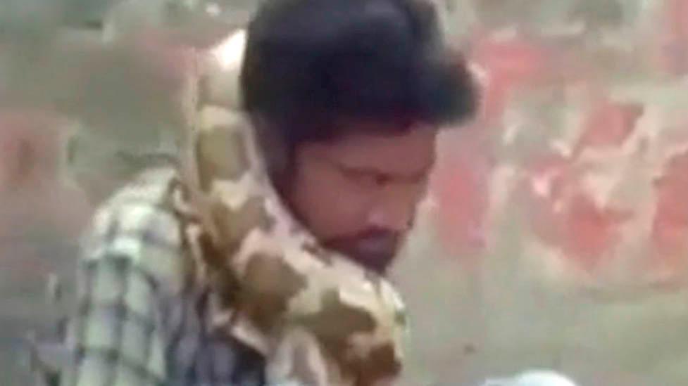 WILD video: Snake charmer strangled by python