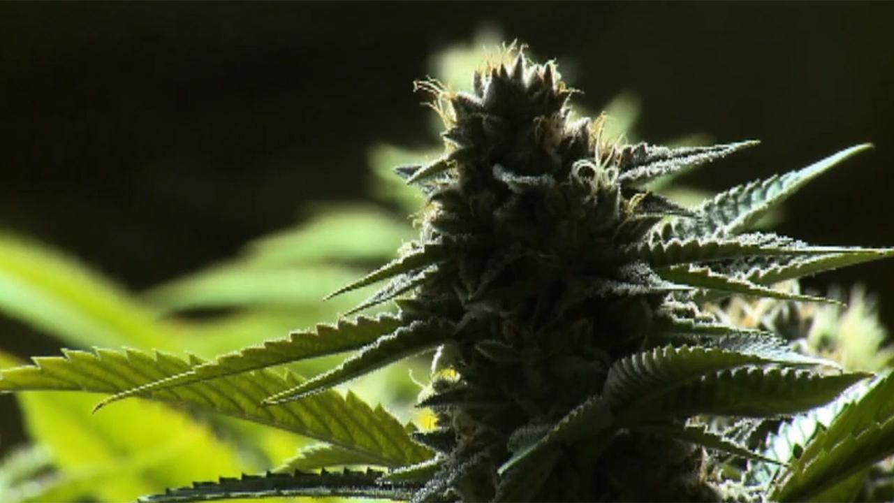 Colorado may allow tasting rooms at marijuana dispensaries
