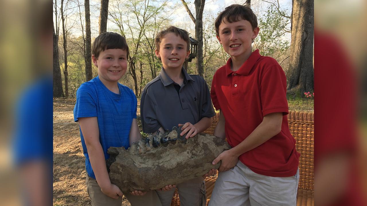 Boys dig up Ice Age-era fossil while playing in backyard 