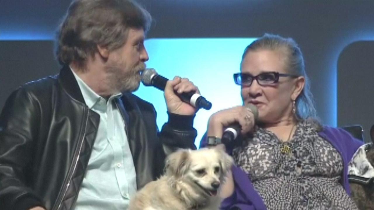 Mark Hamill: Carrie Fisher is irreplaceable in 'Star Wars'