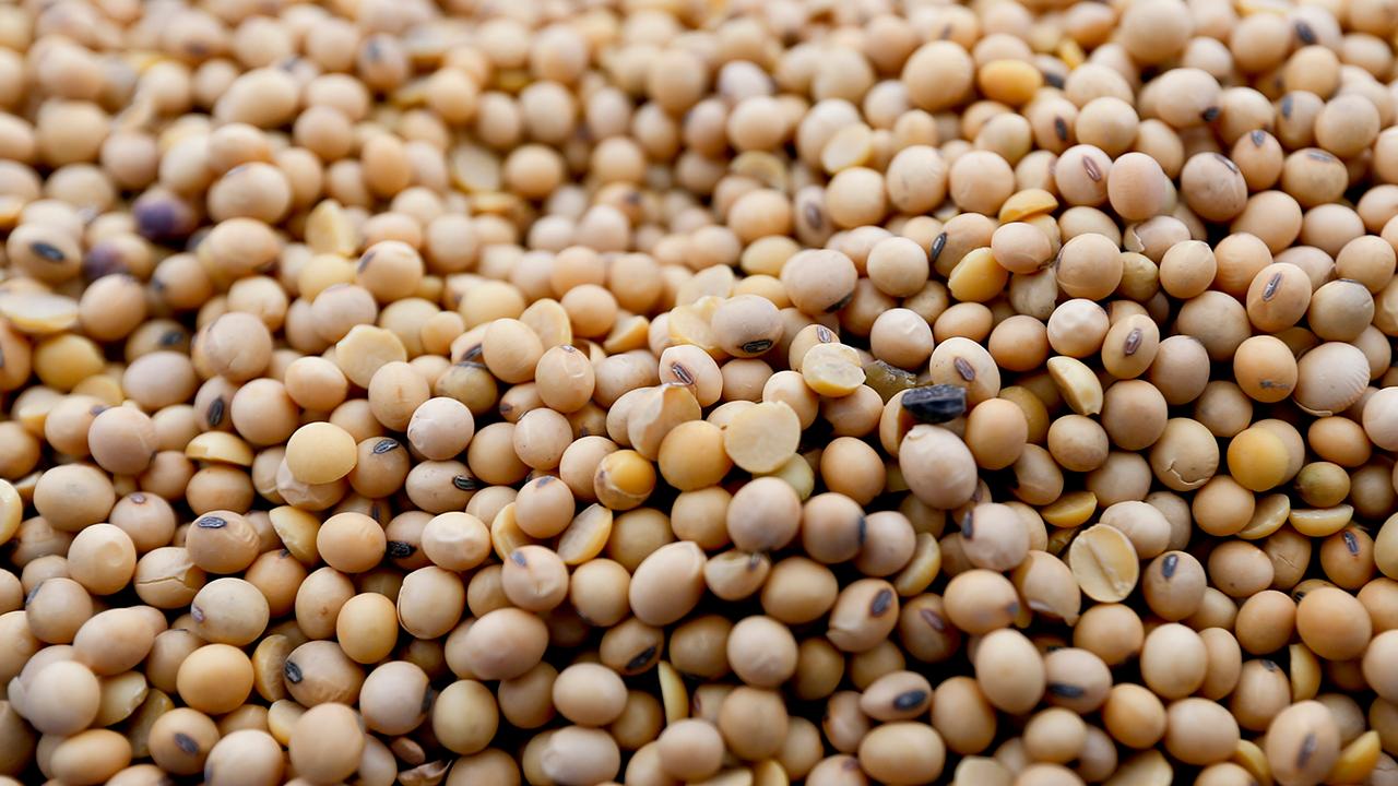 How would a trade war with China impact US soybean farmers?