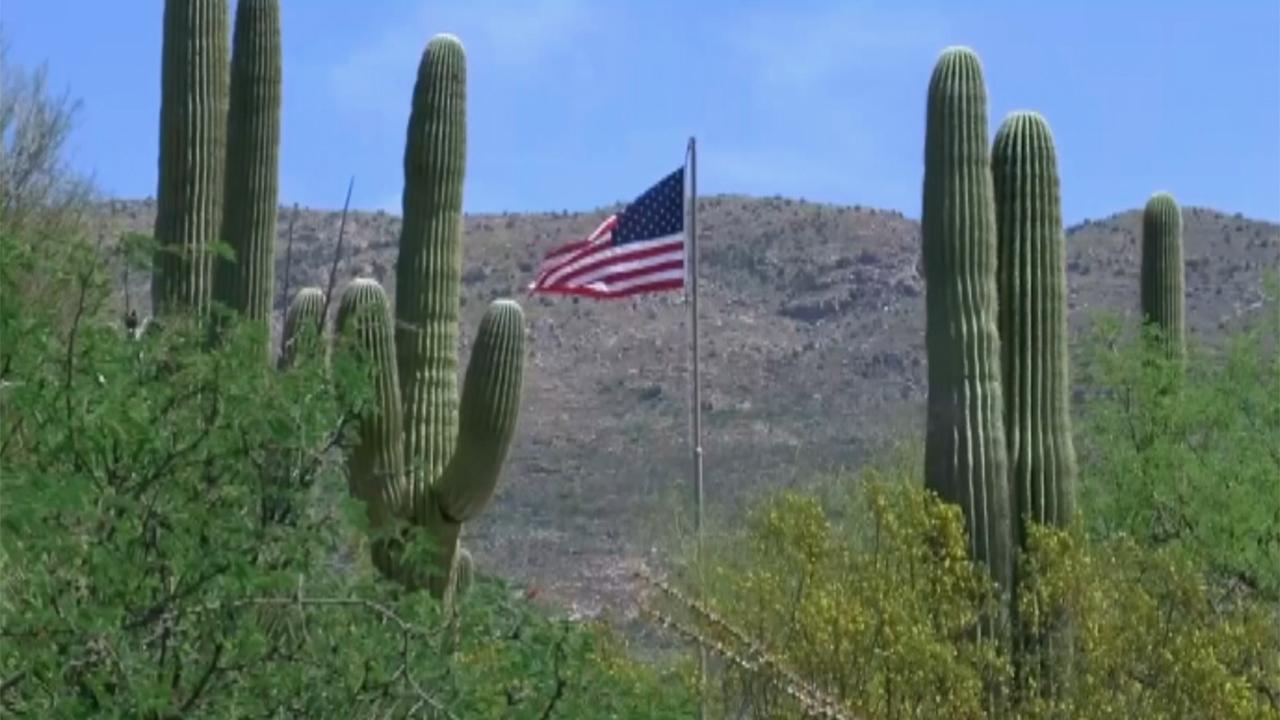 Park rangers microchip cactuses to prevent poaching