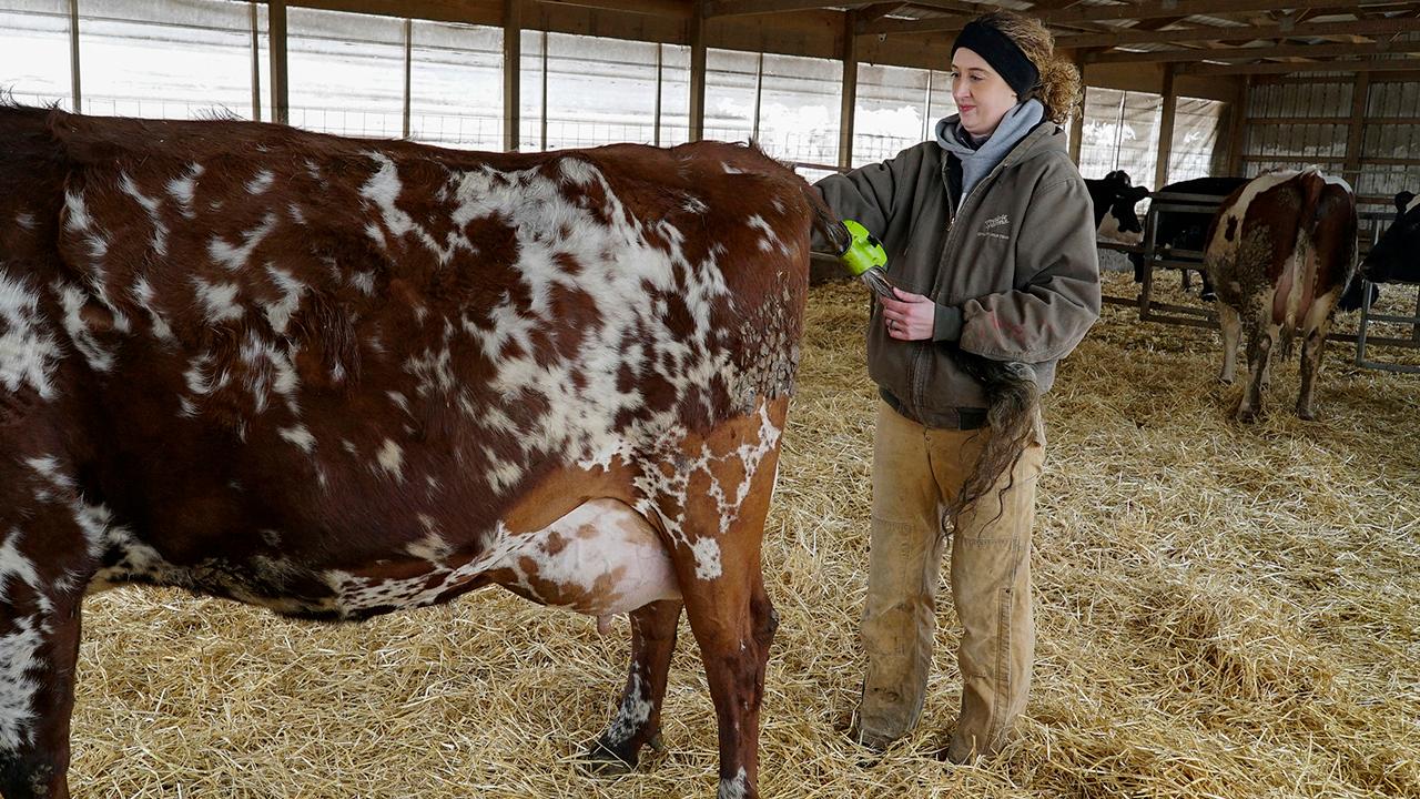 American farmers wary of Trump trade policies