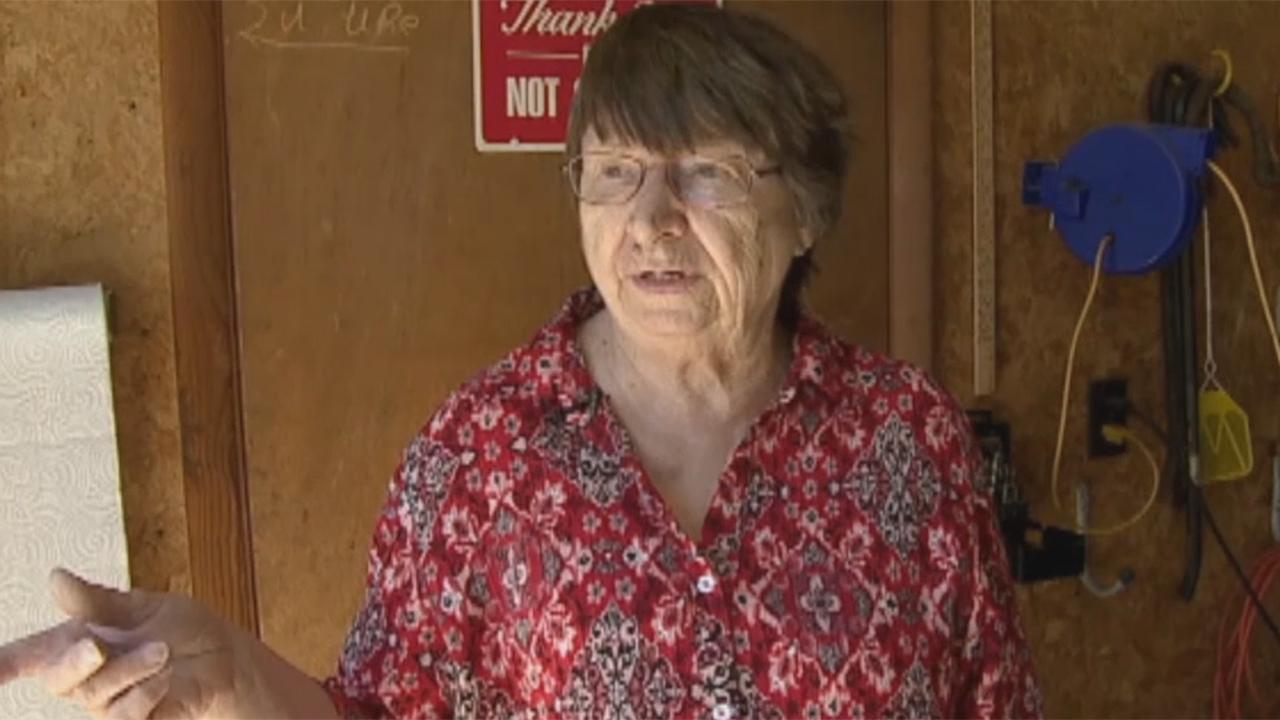 Grandmother confronts burglar in her garage