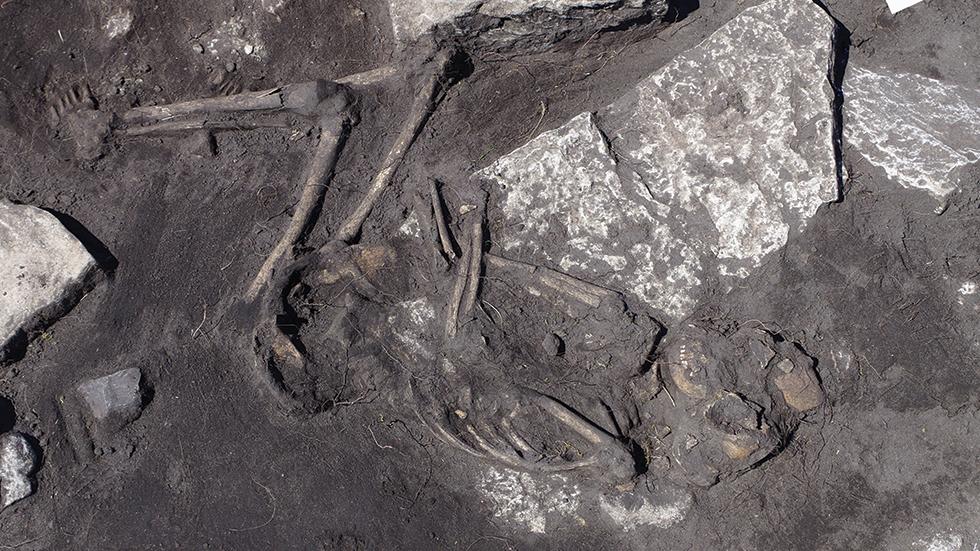 Site of brutal ancient mass murder found in Sweden
