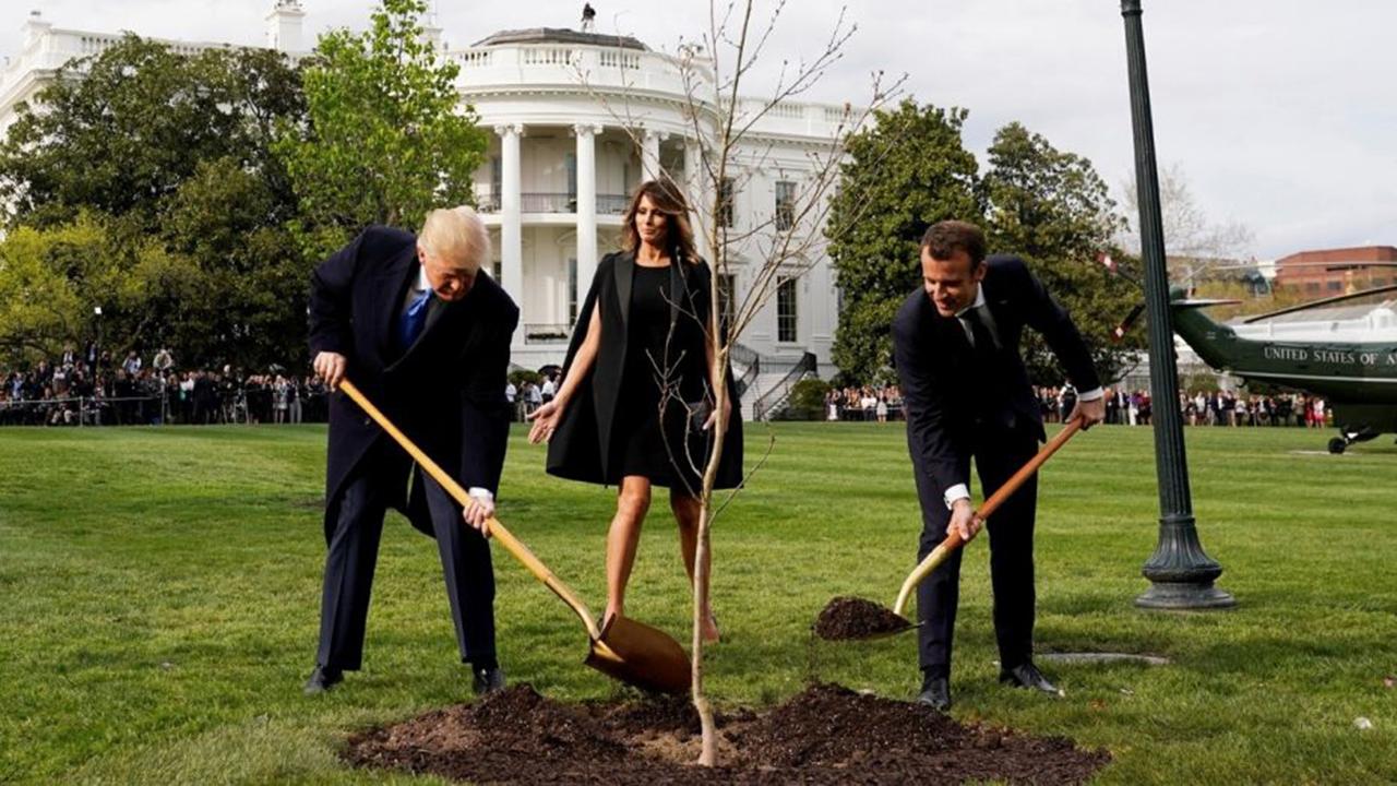 Mystery over Macron's missing White House gift tree solved