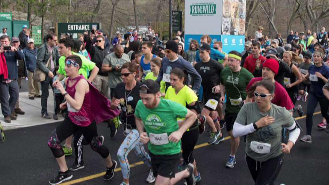 Bronx Zoo hosts 'Run for the Wild' 5K