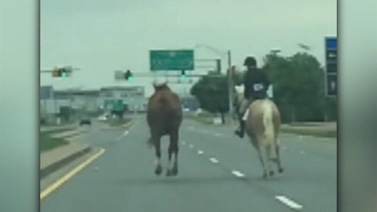 Teen chases down runaway horse on Maryland highway