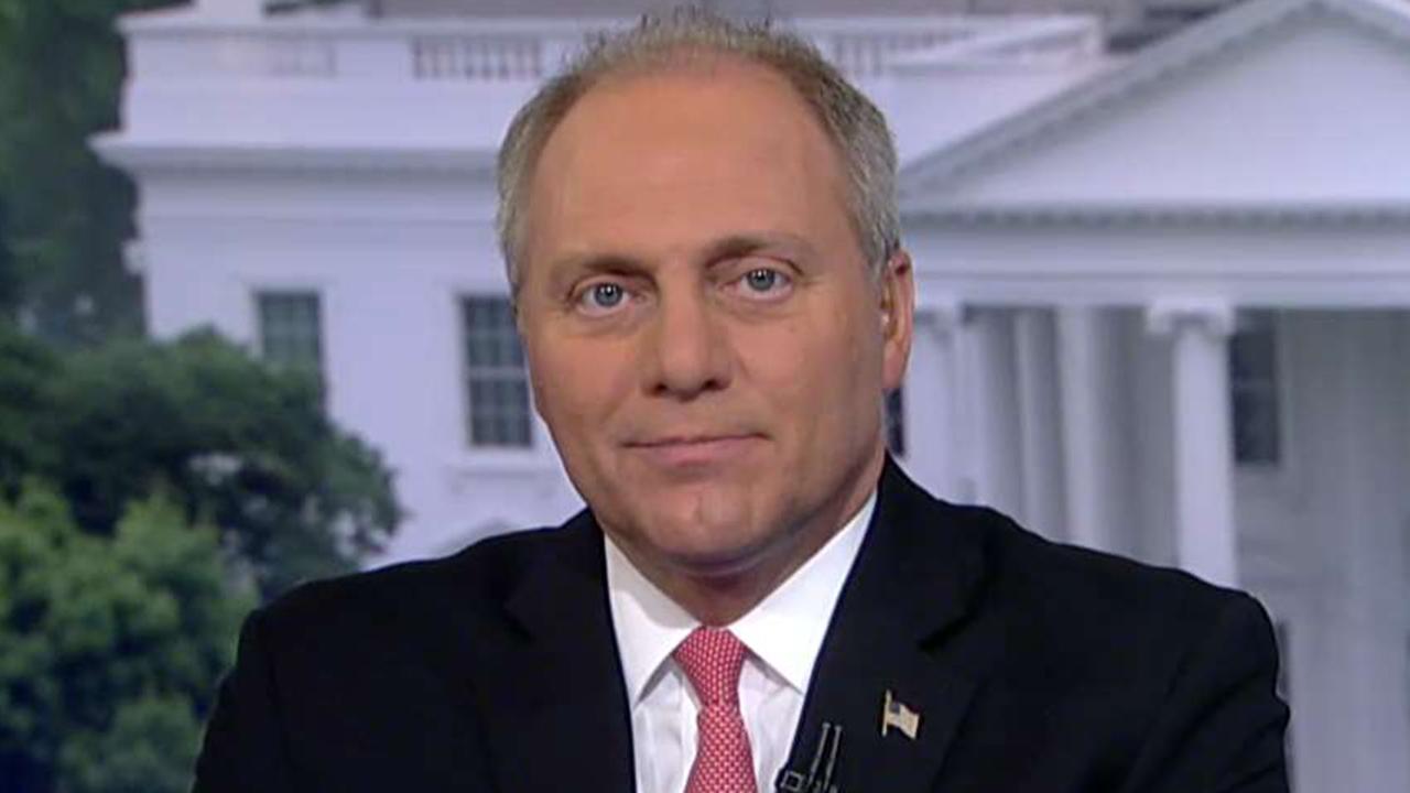 Scalise on move to bring immigration vote to House floor