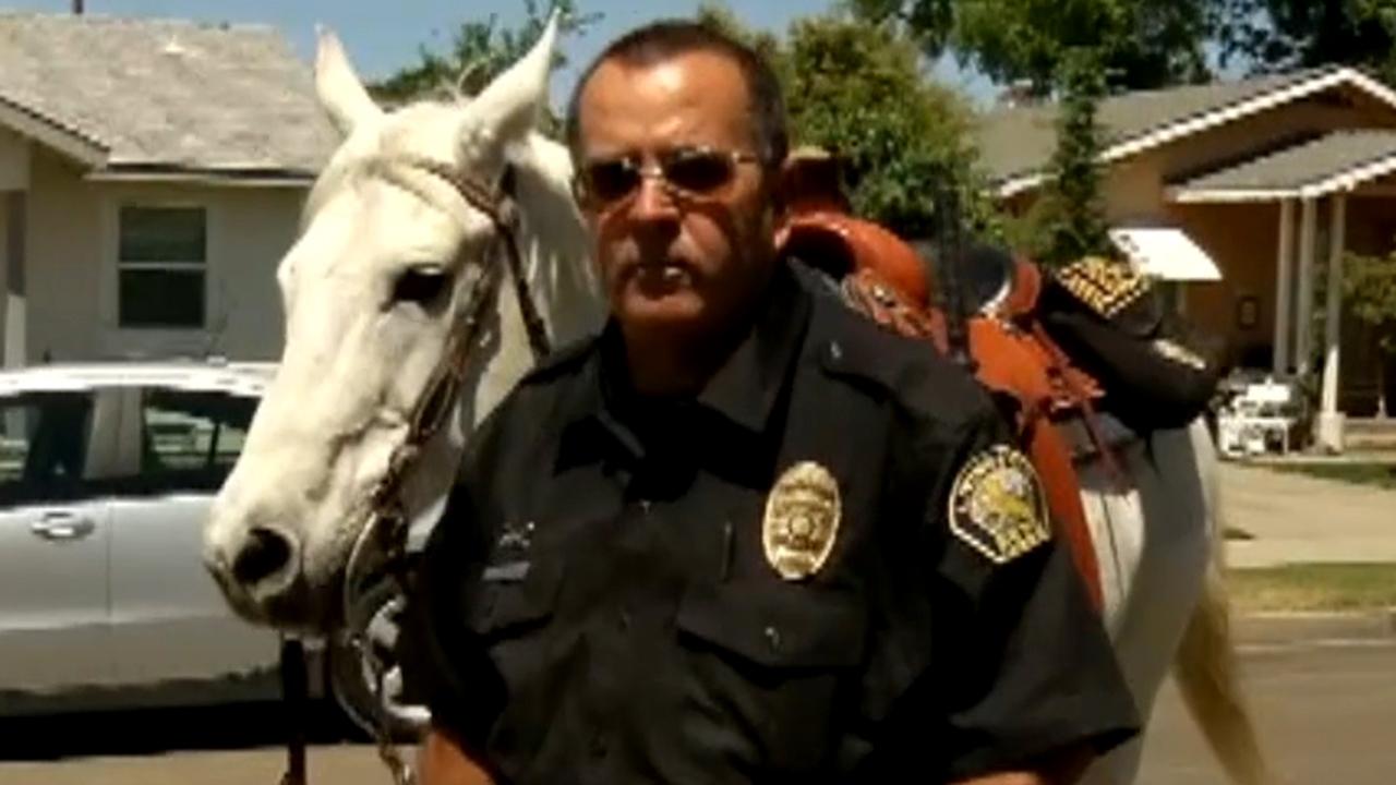 Officer on horseback makes DUI arrest in California