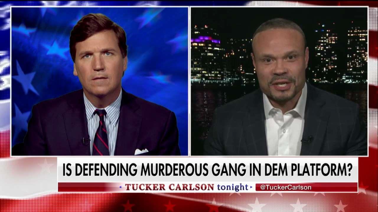 Bongino Blasts Dems Attack on Trump's Animals Label