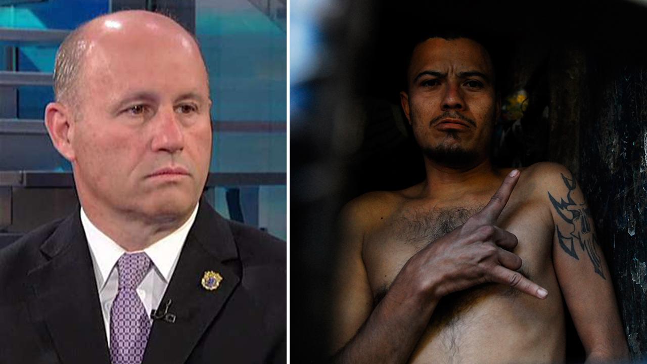 Nassau County Police Commissioner: We need help with MS-13