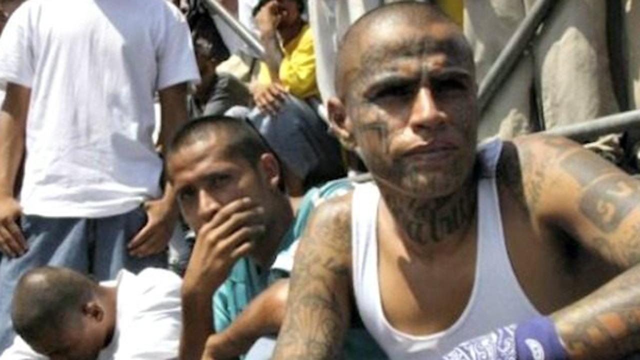 McSally: MS-13 takes advantage of immigration loopholes