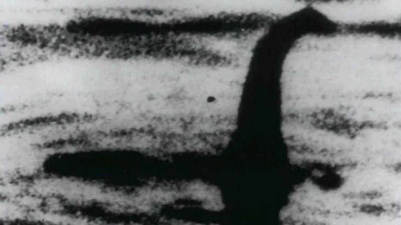 Scientists to use DNA tests in search for Loch Ness monster