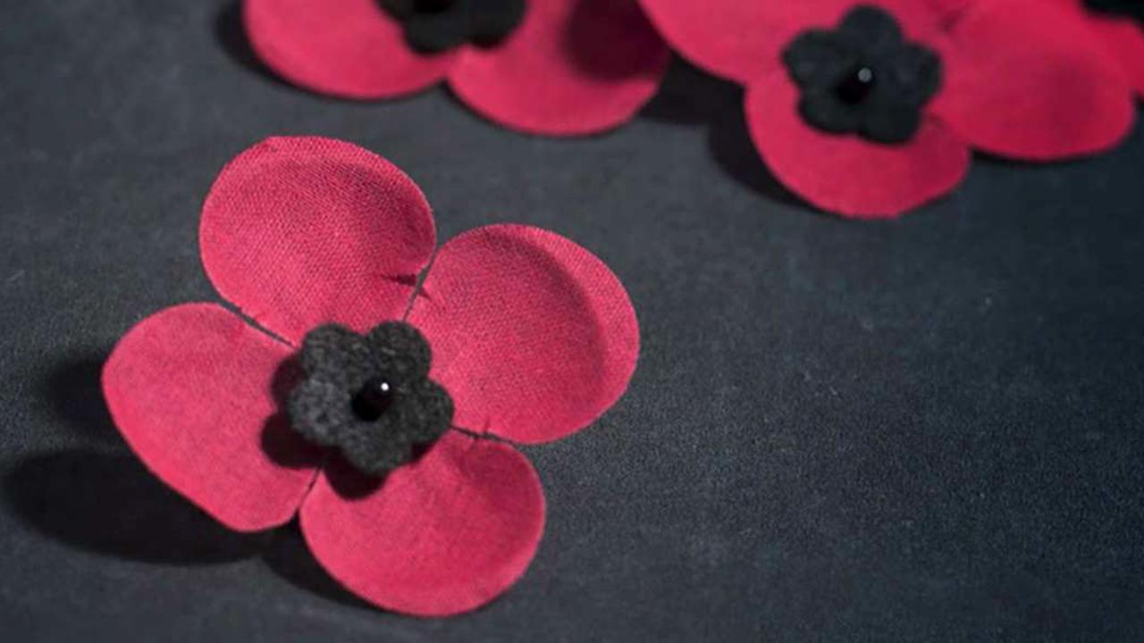 National Poppy Day honors veterans, servicemembers