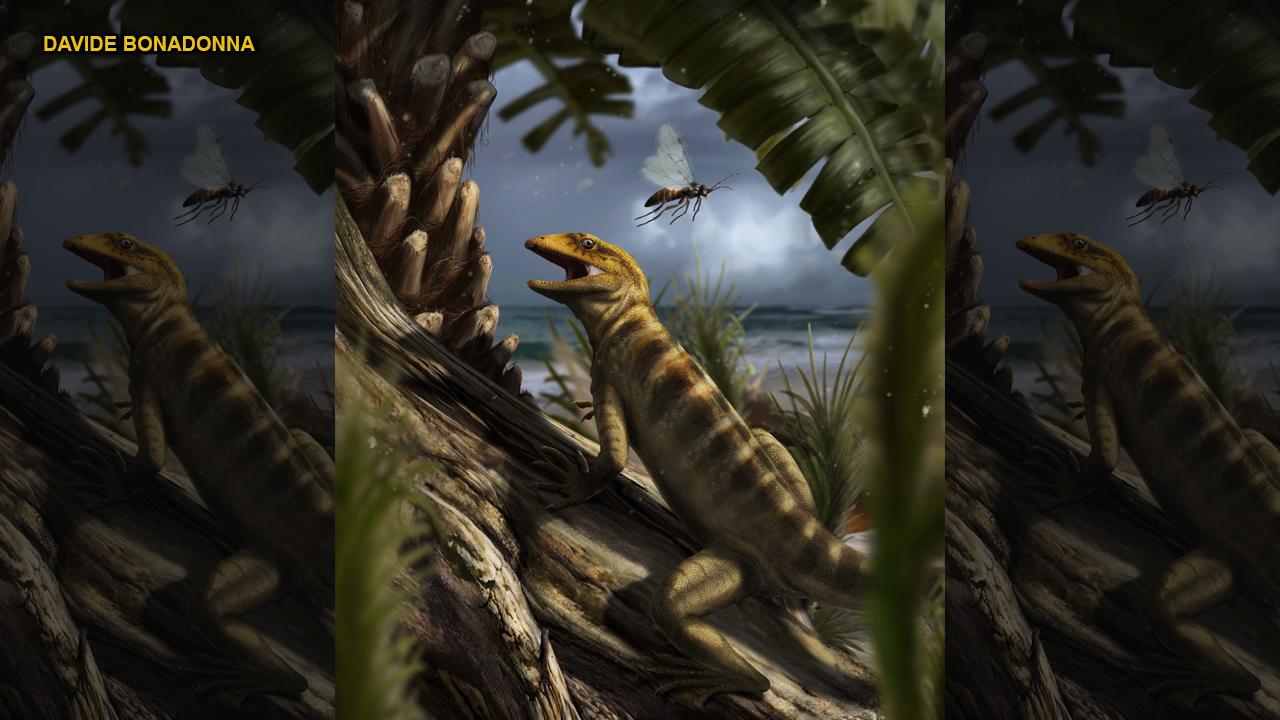 240 million year-old 'mother of all lizards' discovered