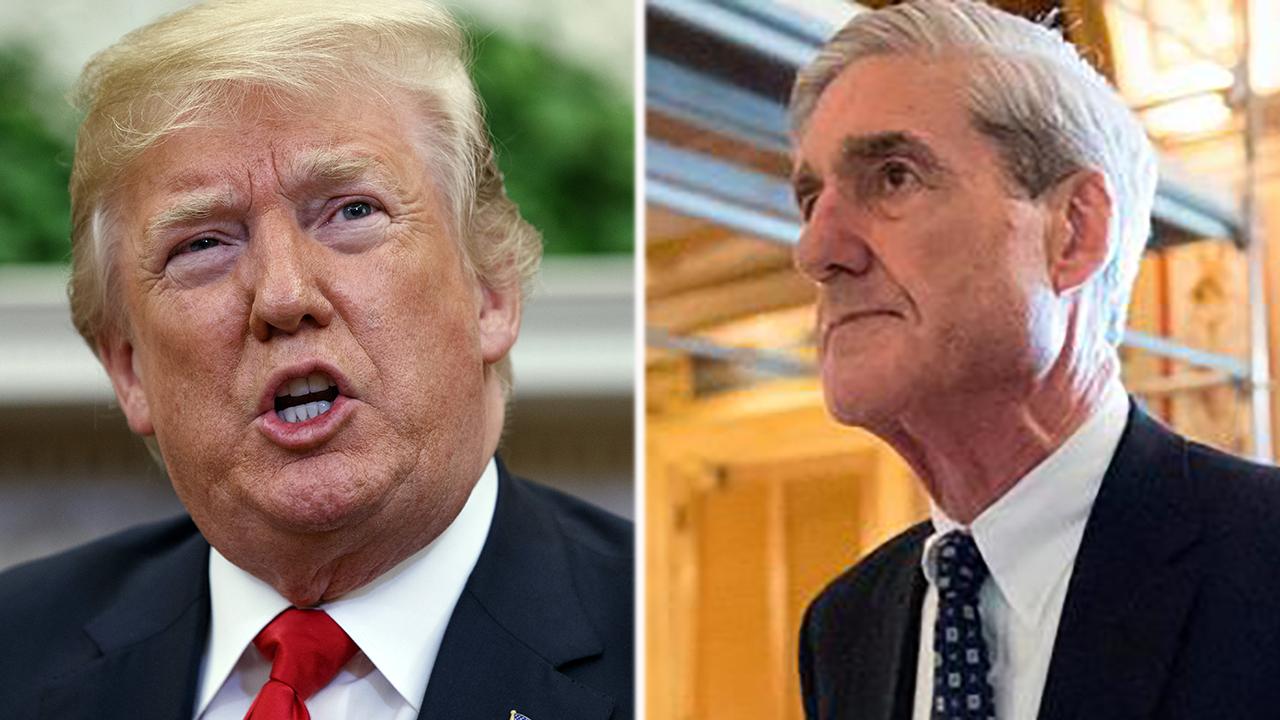 President Trump: Mueller probe 'not even constitutional'