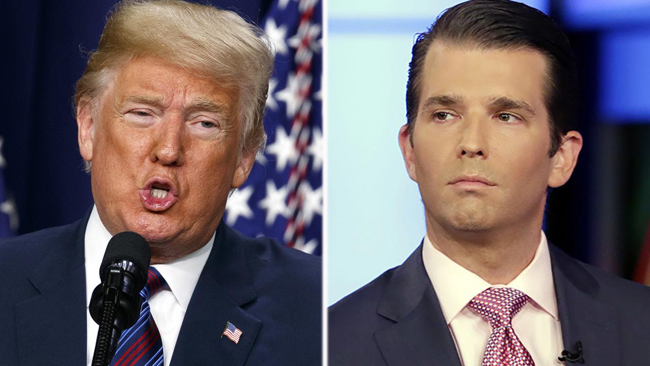 Trump dictated 'short and accurate responses' to his son