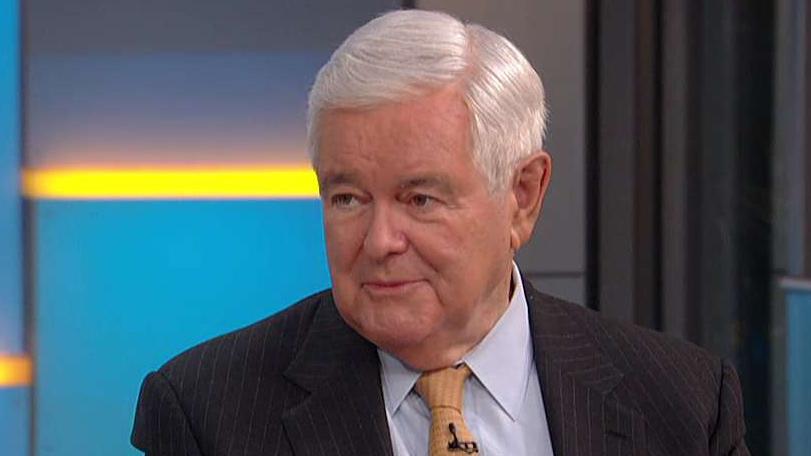 Newt Gingrich: There will be a red wave this fall