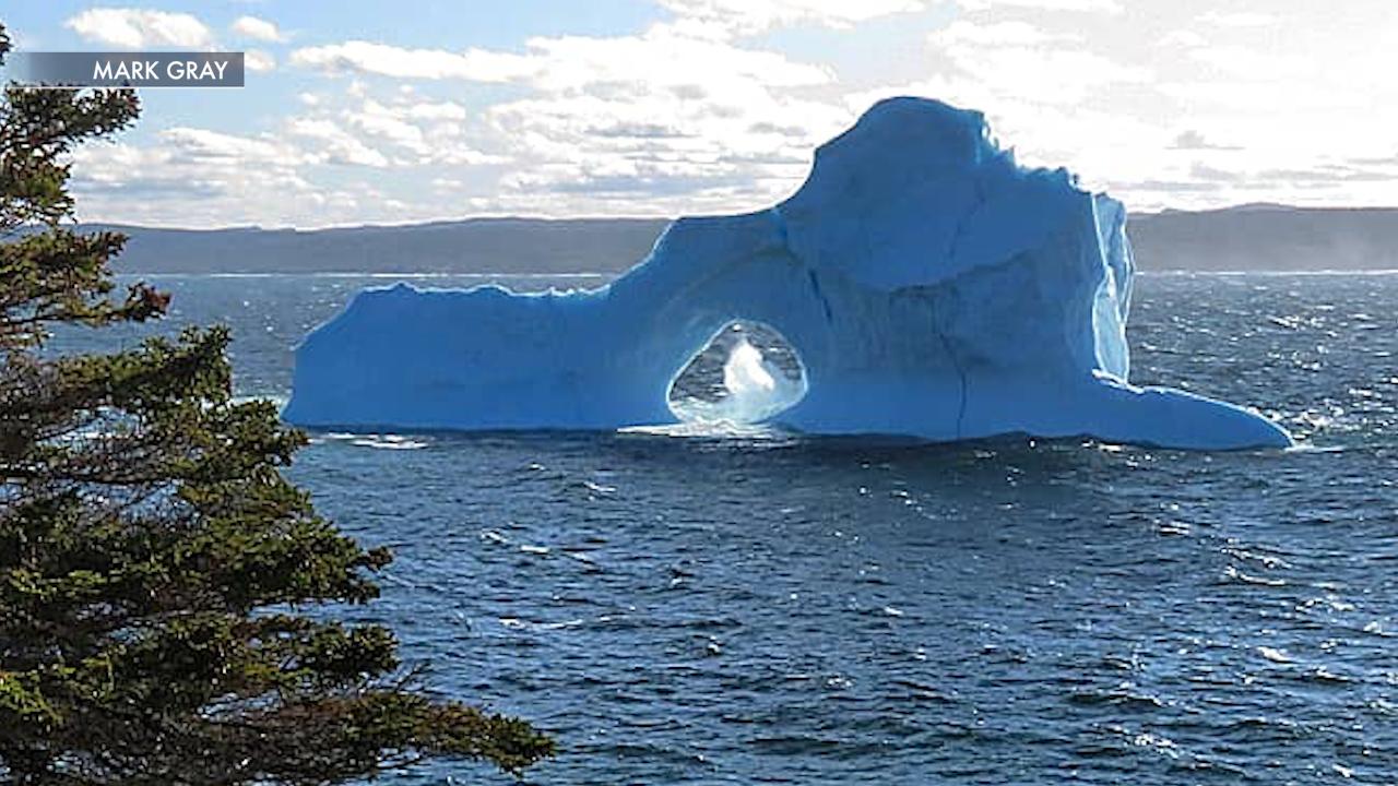 Iceberg in Canada goes viral