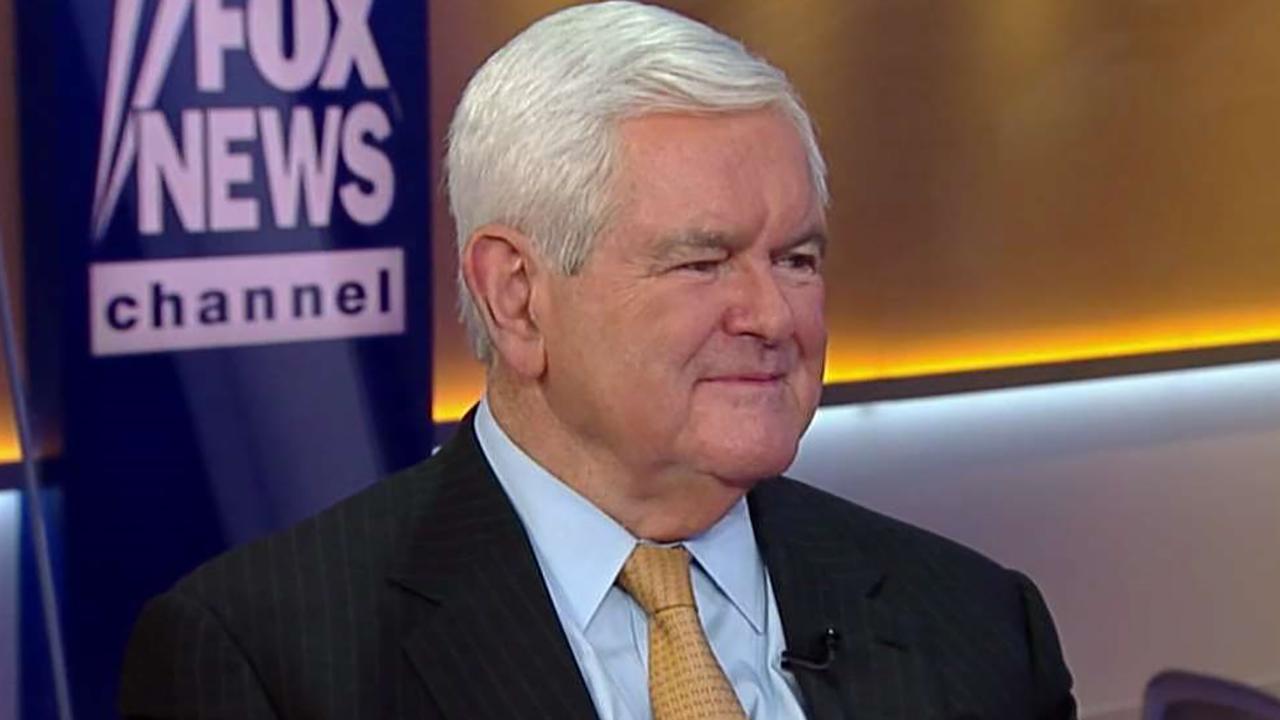 Newt Gingrich: We will see a red wave, not blue in November