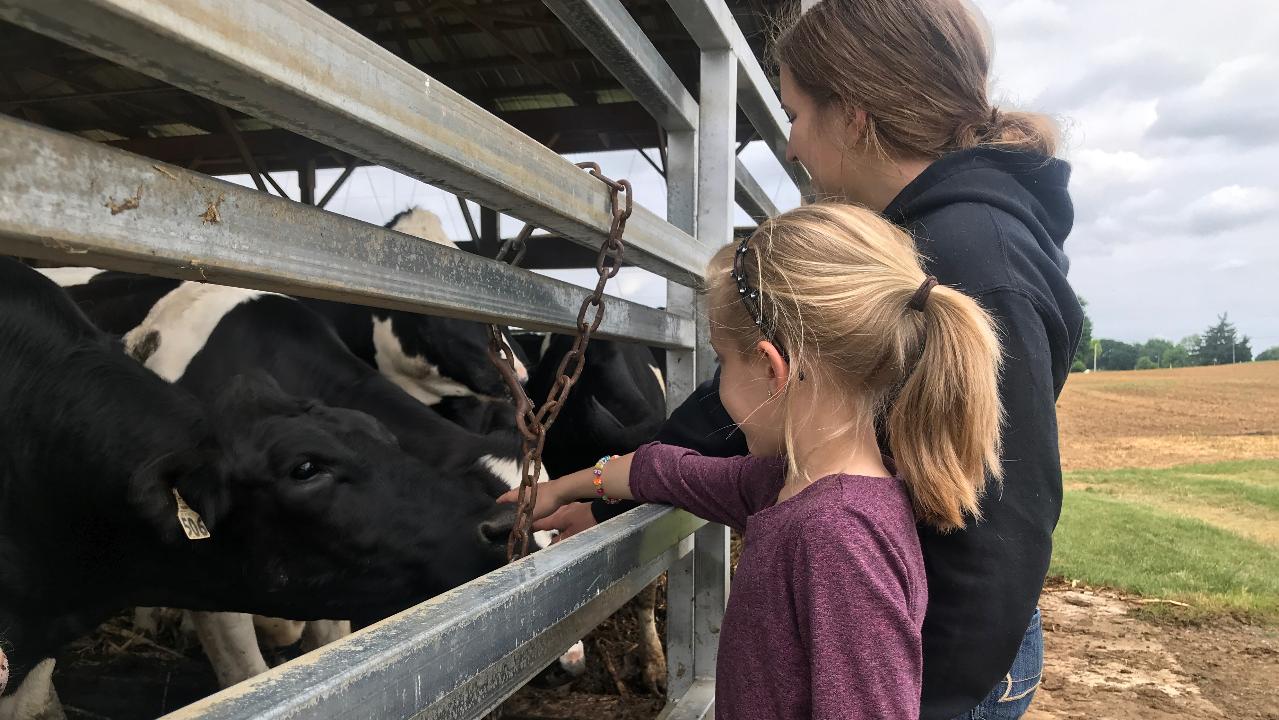 Dairy Farmers Hit Hard By Declining Milk Demand | Fox News