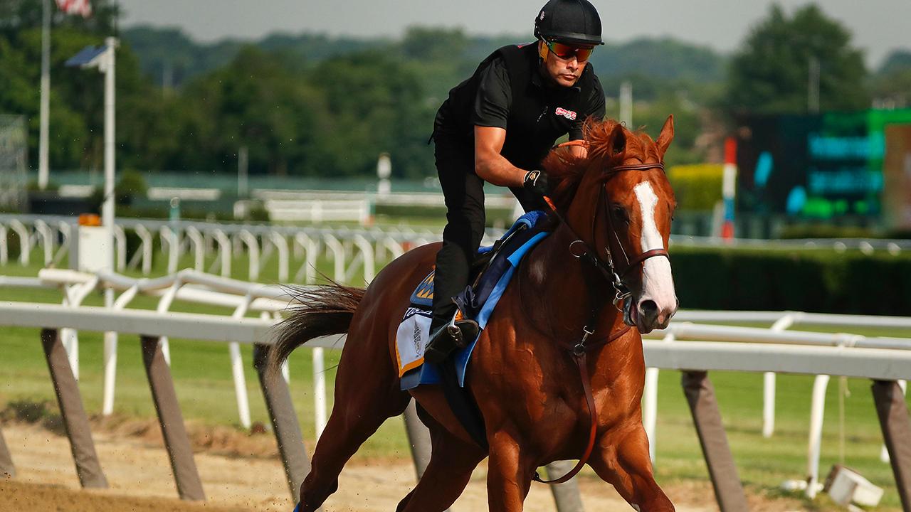 Will Justify win the Belmont Stakes?