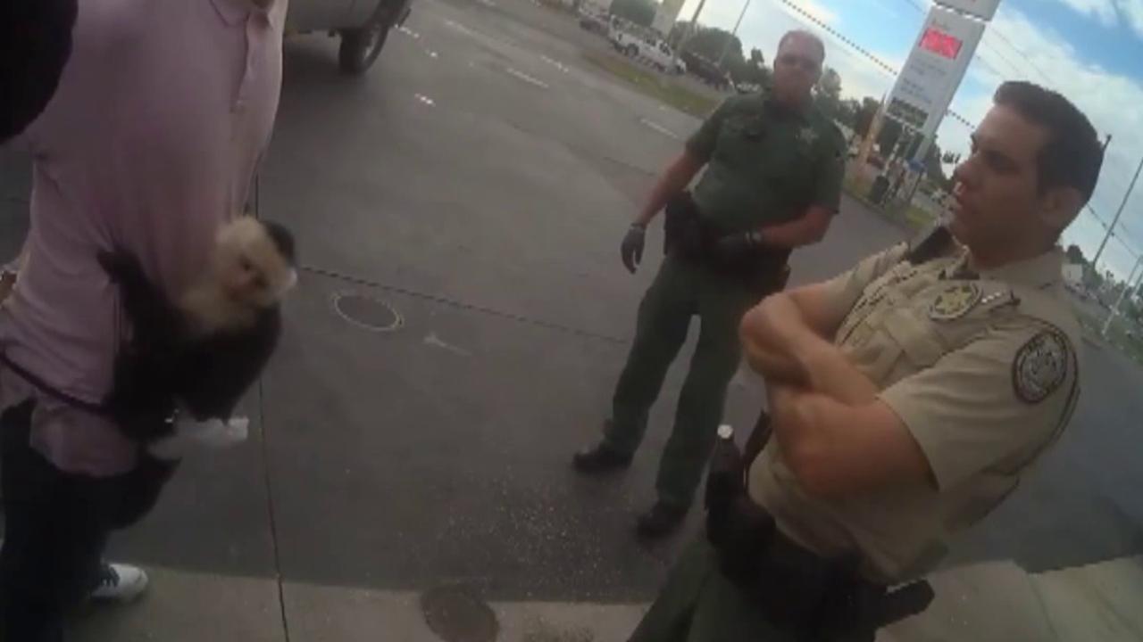 Florida car thief arrested with pet monkey