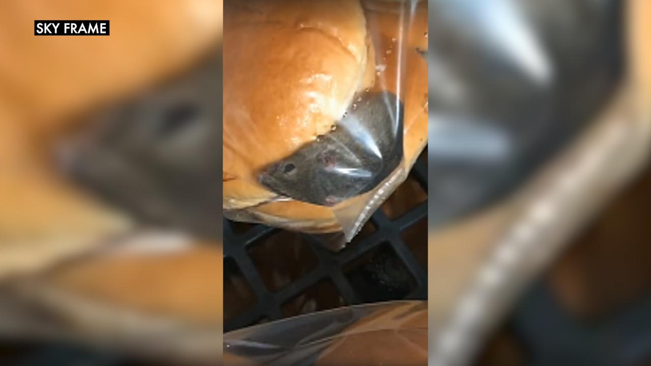 Watch it: Mice in Wendy’s hamburger buns