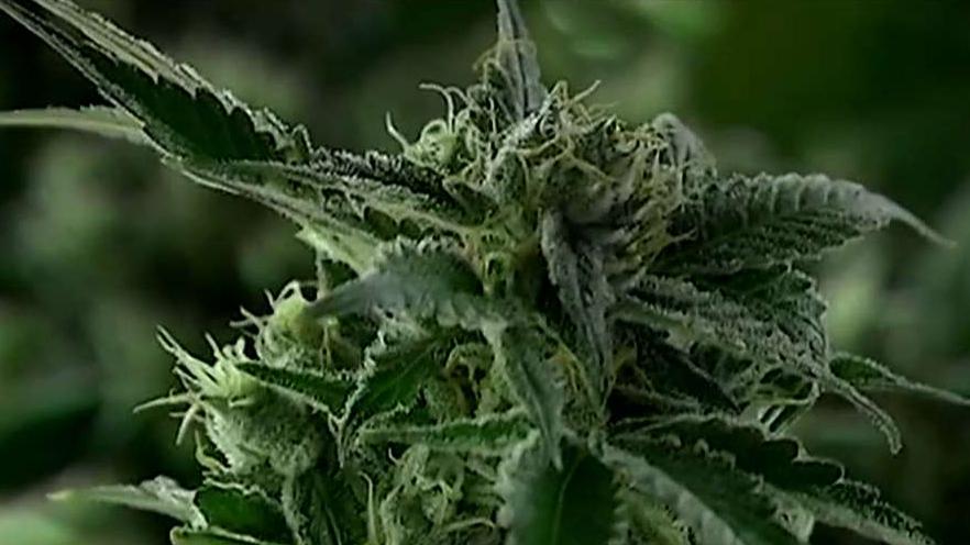 Canada fully legalizes recreational marijuana