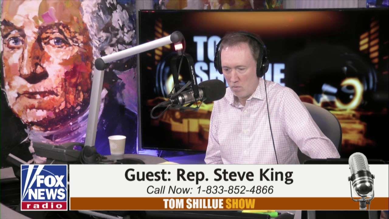 Rep. Steve King Says House is Trying to Pass Amnesty