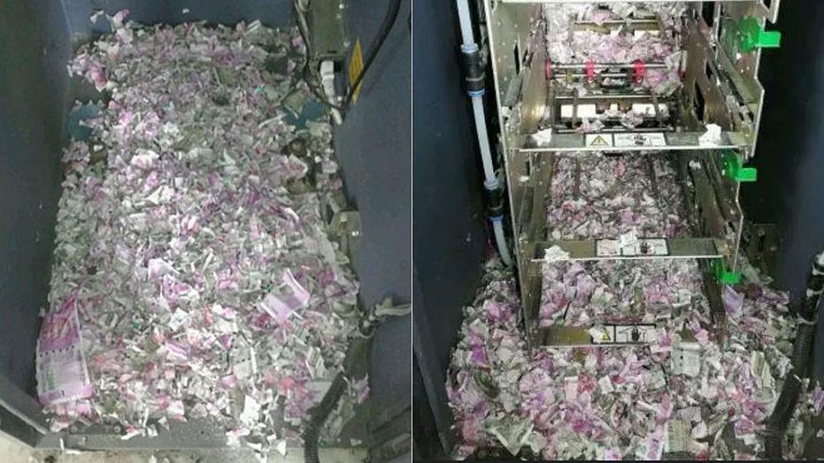 Rat breaks into ATM and destroys thousands of dollars