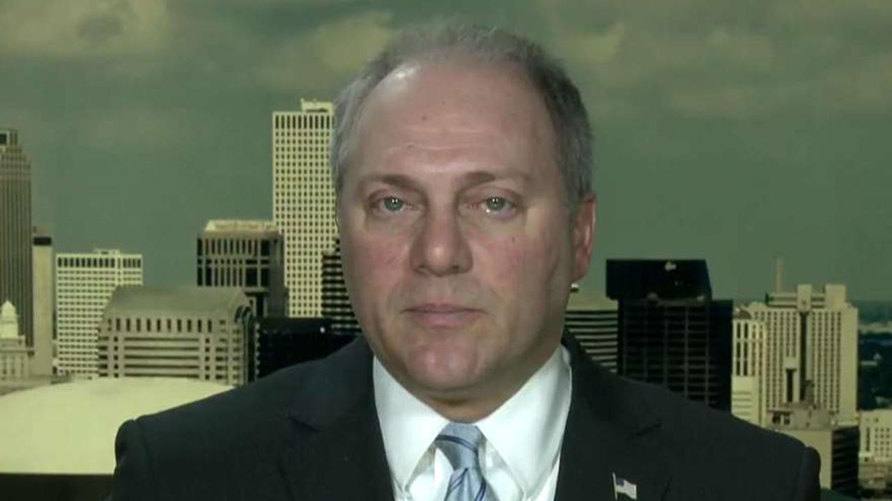 Rep. Steve Scalise on the immigration showdown