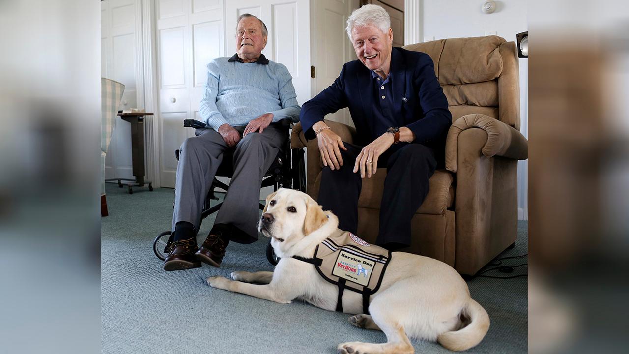 George HW Bush gets a service dog