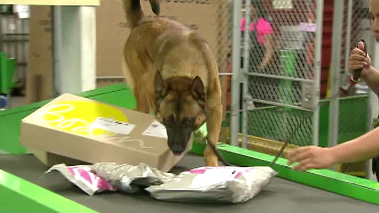 Feds use dogs to sniff out drugs in mail packages