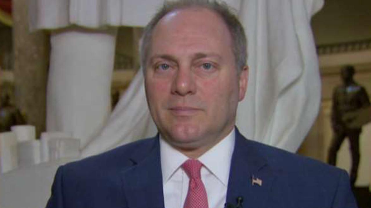 Rep. Scalise on efforts to drum up votes on immigration bill