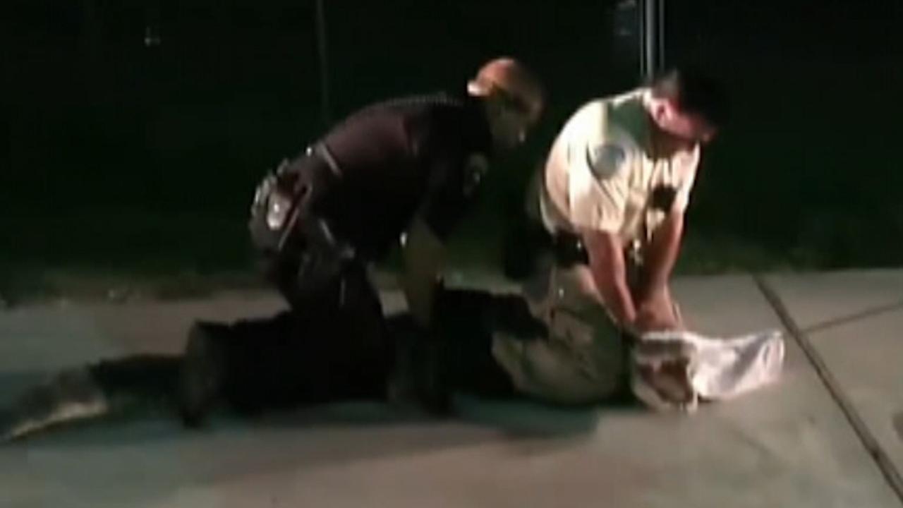 Texas cops wrangle alligator in Walmart parking lot